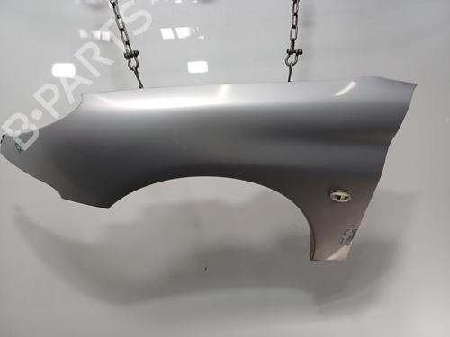 Used Left front fenders Left front fenders PEUGEOT 206 Hatchback (2A/C) [1998-2012] 34048046 34048046