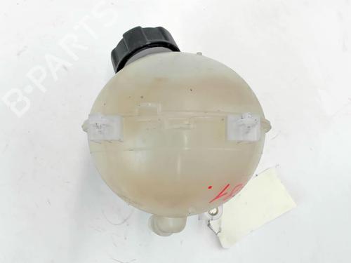 Expansion tank CITROËN C4 Grand Picasso I (UA_) 2.0 HDi 138 | BP20420825C120 