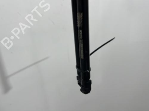 Used Tailgate lift support Tailgate lift support NISSAN MICRA IV (K13K, K13KK) 1.2 DIG-S (98 hp) 33702059 33702059