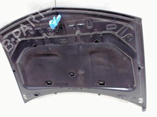 Hood RENAULT VEL SATIS (BJ0_) 2.0 dCi (BJ03, BJ0B) | BP20466650C1 