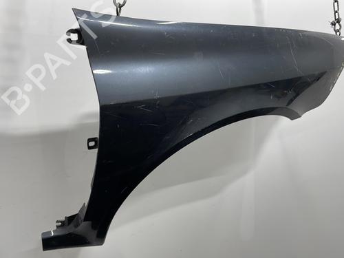 Right front fenders RENAULT LAGUNA II (BG0/1_) 1.9 dCi (BG1A, BG1W, BG0G) | BP20402963C42 