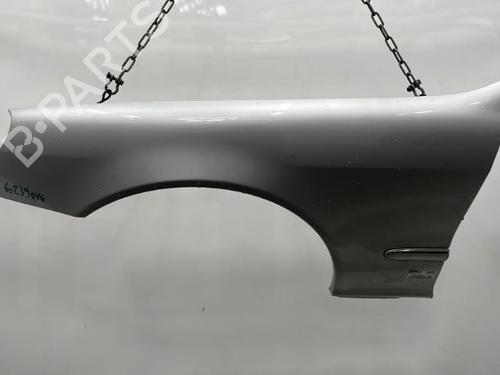 Left front fenders MERCEDES-BENZ S-CLASS (W220) S 320 CDI (220.025, 220.125) | BP20395651C41 