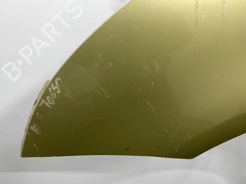 Left front fenders CITROËN C4 Picasso I MPV (UD_) 1.6 HDi | BP20424534C41 