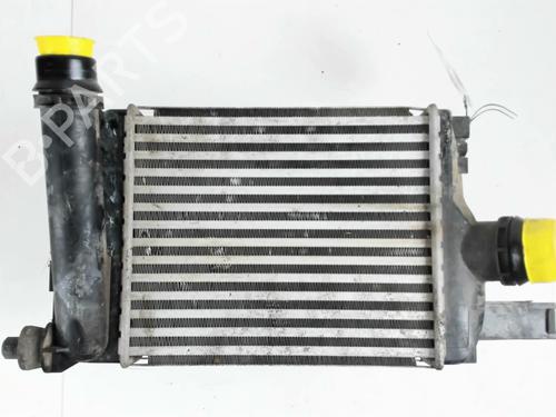 Intercooler DACIA SANDERO II TCe 90 (B8M1, B8MA, B8AC) (90 hp) 28683570