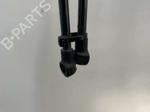 Tailgate lift support RENAULT SCÉNIC IV (J9_) 1.5 dCi 110 | BP24439462C138 