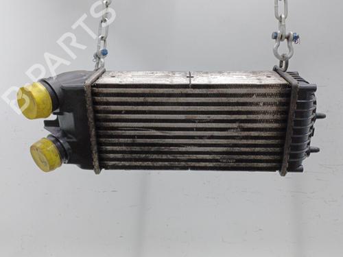 Used Intercooler CITROËN XSARA PICASSO (N68) 1.6 HDi (90 hp) 20446665