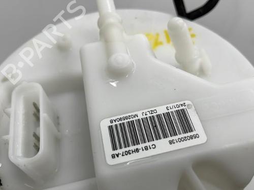 Fuel pump FORD FIESTA VI (CB1, CCN) 1.0 EcoBoost | BP20419652M76 