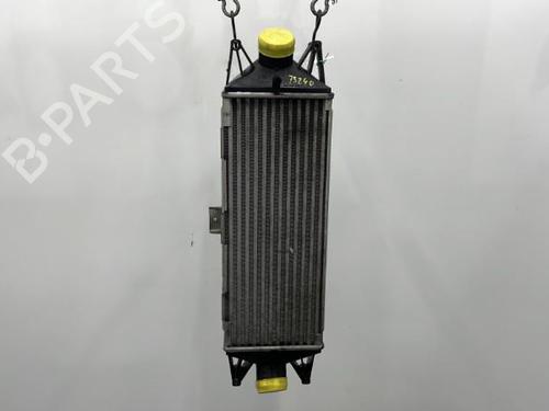 Intercooler IVECO DAILY IV Van 35C15 V, 35C15 V/P | BP21240921M30 