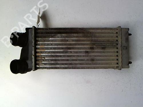 Used Intercooler PEUGEOT 307 (3A/C) 1.6 HDi (90 hp) 20431223