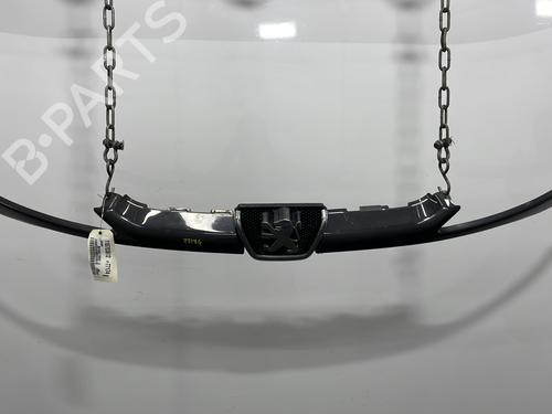 Used Grille PEUGEOT 206 SW (2E/K) 1.6 HDi 110 (109 hp) 28482009