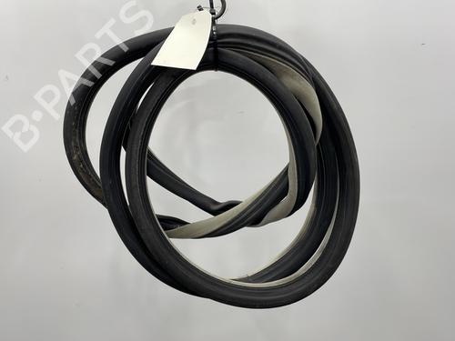 Goma contorno puerta RENAULT ESPACE IV (JK0/1_) 2.0 dCi (JK03, JK04, JK1C, JK1G, JK1J, JK1K) (173 hp) 22212249