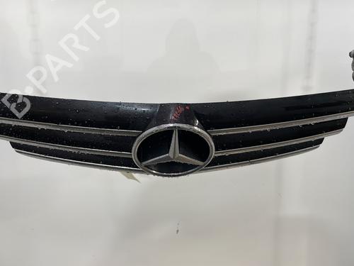 Used Grille MERCEDES-BENZ CLK (C209) CLK 220 CDI (209.308) (150 hp) 29043561