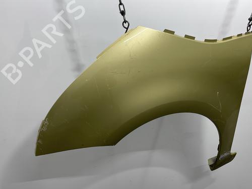 Left front fenders CITROËN C4 Picasso I MPV (UD_) 1.6 HDi | BP20424534C41 