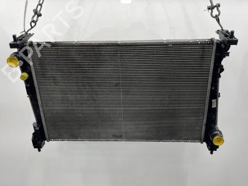 Køler FIAT BRAVO II (198_) 1.6 D Multijet (198AXM1B) (90 hp) 20418534