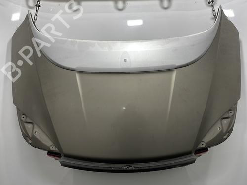 Used Tailgate RENAULT MEGANE CC (EZ0/1_) 1.9 dCi (EZ0J, EZ1S) (131 hp) 31126840