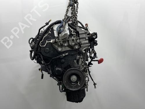 Engine PEUGEOT 308 II (LB_, LP_, LW_, LH_, L3_) 1.5 BlueHDi 130 | BP29603931M1 