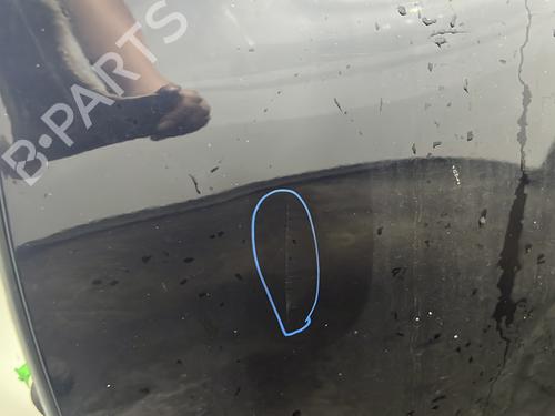 Left front door PEUGEOT 208 I (CA_, CC_) 1.2 VTI 82 | BP30161742C2