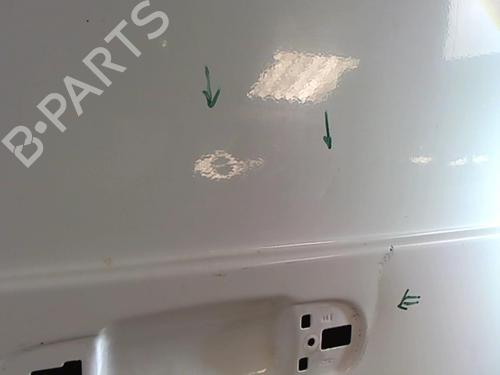 Right tailgate FORD TRANSIT CONNECT (P65_, P70_, P80_) 1.8 Di | BP20413717C77 