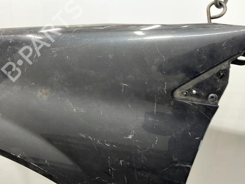 Left front fenders RENAULT MEGANE II (BM0/1_, CM0/1_) 1.5 dCi (BM1F, CM1F) | BP20443032C41 