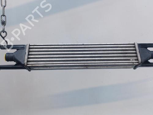 Intercooler FIAT GRANDE PUNTO (199_) 1.3 D Multijet | BP20468148M30 
