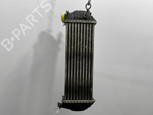 Used Intercooler Intercooler RENAULT KANGOO / GRAND KANGOO II (KW0/1_) 1.5 dCi 90 (KW05, KW08, KW0G, KW11) (90 hp) 28482004 28482004