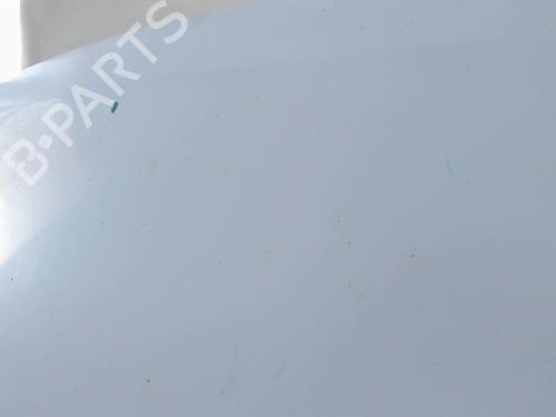 Hood RENAULT TRAFIC Van (T_, P_, V_) 2.1 D | BP21203826C1