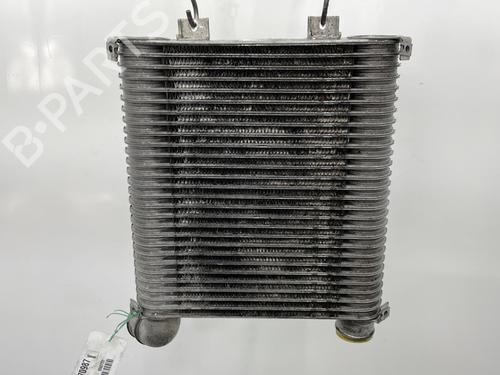 Used Intercooler Intercooler HYUNDAI SANTA FÉ I (SM) 2.0 CRDi 4x4 (113 hp) 20440014 20440014