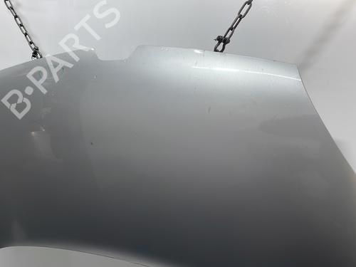 Hood RENAULT KANGOO / GRAND KANGOO II (KW0/1_) 1.5 dCi 90 (KW05, KW08, KW0G, KW11) | BP29638992C1 