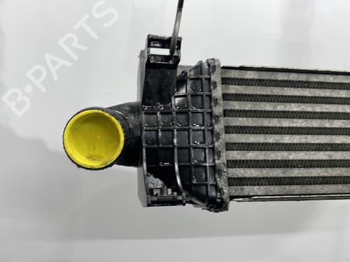Intercooler FORD C-MAX (DM2) 1.8 TDCi | BP31932197M30