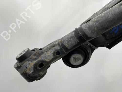 Left rear suspension arm FIAT DOBLO Cargo (263_) 1.3 D Multijet | BP21207725M14 