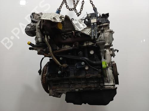 Engine KIA VENGA (YN) | BP34172009M1 - Image 12