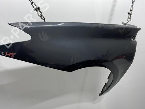 Błotnik przedni lewy RENAULT LAGUNA III Grandtour (KT0/1) 2.0 dCi (KT0M, KT0N, KT0S, KT19, KT1F) | BP20443163C41