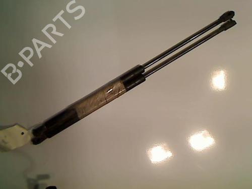 Used Tailgate lift support ROVER MAESTRO Hatchback 1.3 (67 hp) 21229893