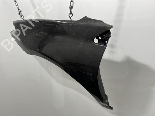 Left front fenders RENAULT LAGUNA III (BT0/1) 2.0 dCi (BT07, BT0J, BT14, BT1A, BT1S) | BP20406699C41 