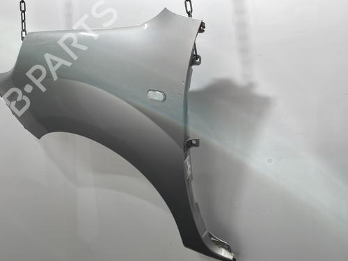 Left front fenders RENAULT KANGOO / GRAND KANGOO II (KW0/1_) 1.5 dCi 90 (KW05, KW08, KW0G, KW11) | BP29638990C41 