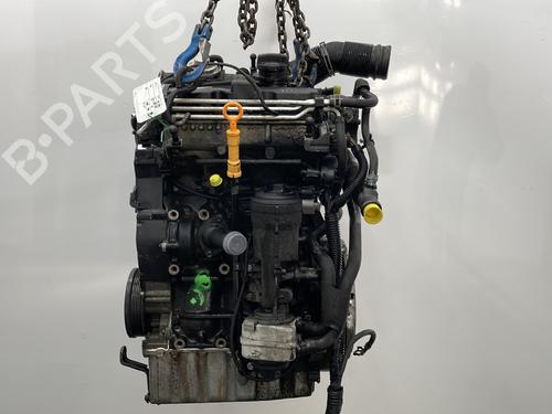 Used Engine SEAT CORDOBA (6L2) 1.4 TDI (80 hp) 21208726