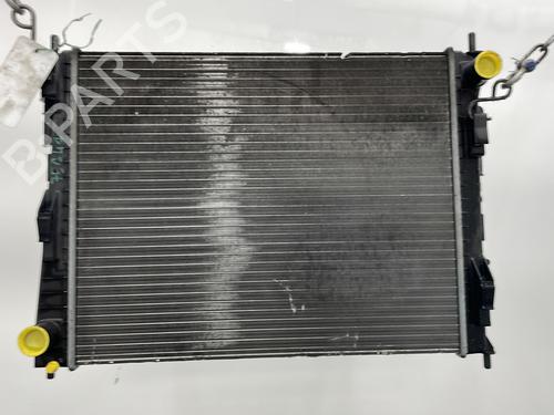 Water radiator RENAULT TWINGO II (CN0_) 1.2 (CN0D) | BP25222124M31 - Image 4
