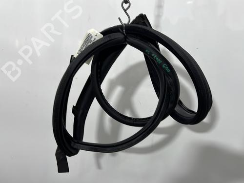 rubber-door-seal-renault-laguna-iii-bt01-2007-2008-2009-2010-2011-2012-2013-2014-2015-33559845 main image