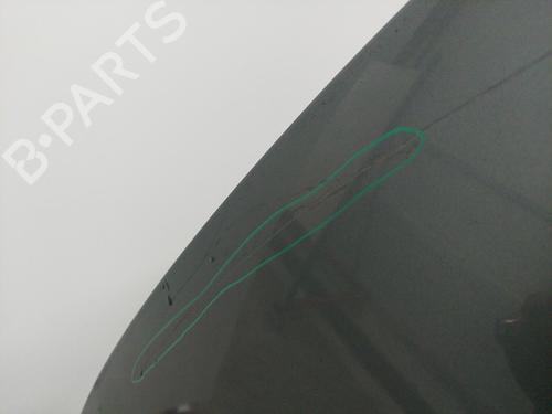 Hood VOLVO V50 (545) 2.4 | BP20442339C1 
