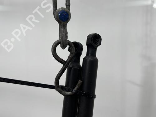 Gassdemper Bakluke RENAULT ZOE (BFM_) ZOE | BP27163862C138