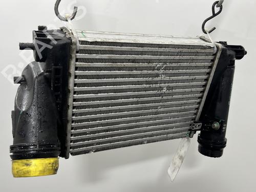 Intercooler RENAULT KOLEOS II (HC_) 1.6 dCi 130 | BP30115551M30