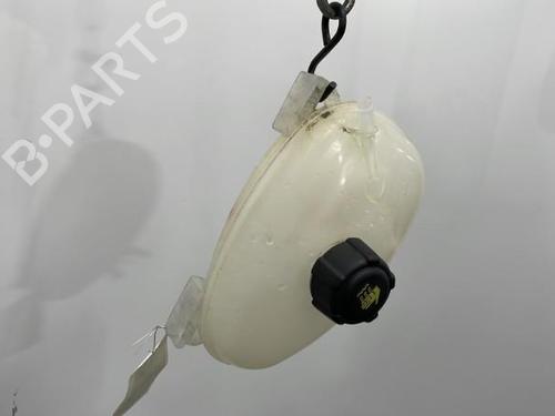 Expansion tank RENAULT TWINGO III (BCM_, BCA_) 0.9 TCe 90 (BCM9, BCM2) | BP20393801C120 