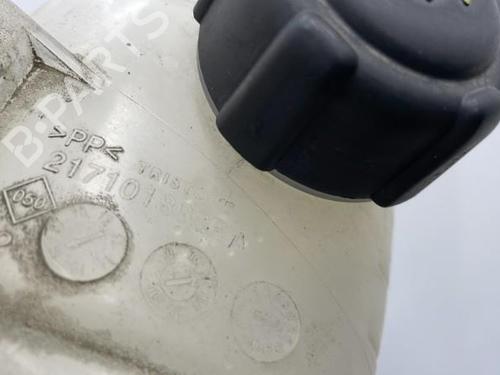 Used Expansion tank RENAULT TRAFIC III Van (FG_) 1.6 dCi 140 (FGMA, FGMC) (140 hp) 20419555