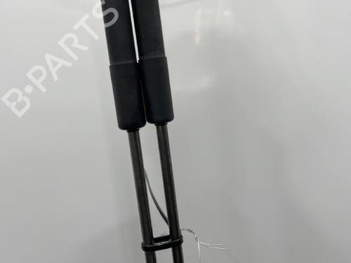 Tailgate lift support RENAULT MEGANE III Coupe (DZ0/1_) 1.6 dCi (DZ00, DZ12, DZ2A, DZ13) | BP20445051C138 