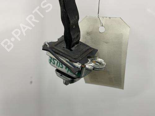Hinge/Door check strap SKODA FABIA I (6Y2) 1.2 | BP21208709C146 