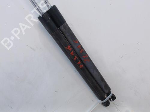 Tailgate lift support RENAULT CLIO III (BR0/1, CR0/1) 1.5 dCi | BP20450275C138 