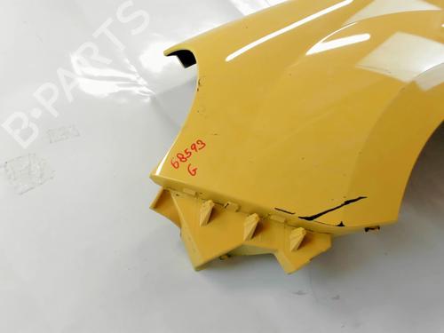 Left front fenders RENAULT KANGOO Express (FW0/1_) 1.5 dCi 70 (FW0A, KW0V) | BP20390478C41 