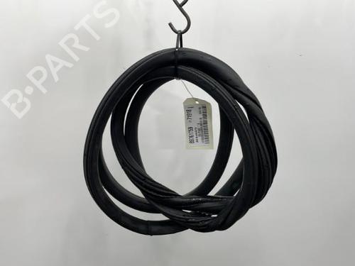 Used Rubber door seal CITROËN DS4 (NX_) 1.6 HDi 110 (112 hp) 20387301