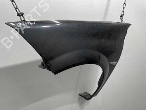 Left front fenders RENAULT MEGANE II (BM0/1_, CM0/1_) 1.5 dCi (BM1F, CM1F) | BP20443032C41 