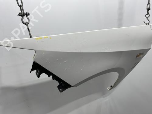 Left front fenders SEAT IBIZA IV (6J5, 6P1) 1.2 TDI | BP29749702C41 